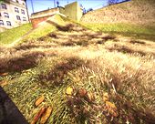 Sniper Ghost Warrior 2 - grass