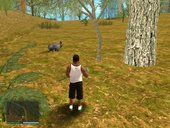 Wild Boar GTA V Style in The Malaise