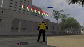 Kurdish Flag On Cityhall
