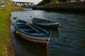 Alexandria Fishing Boat