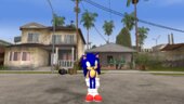 Sonic Adventure DX Sonic