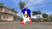 Sonic Adventure DX Sonic
