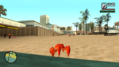 Beach Crabs & Lobsters Wildlife Animals Skin Pack