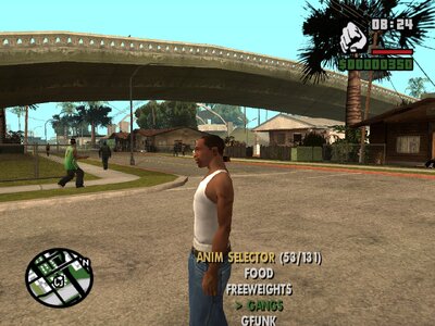 Anim Selector