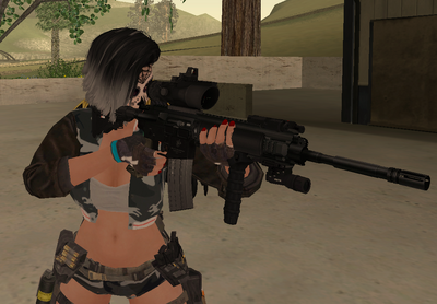 HK416 KAC ACOG